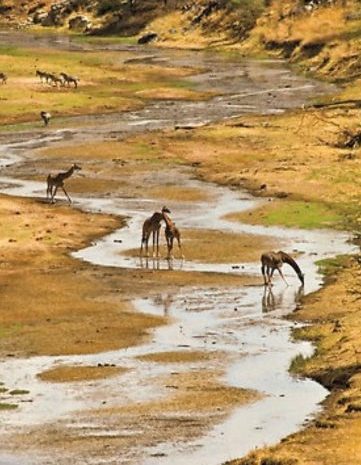 Tarangire Clima en África para safari mes a mes