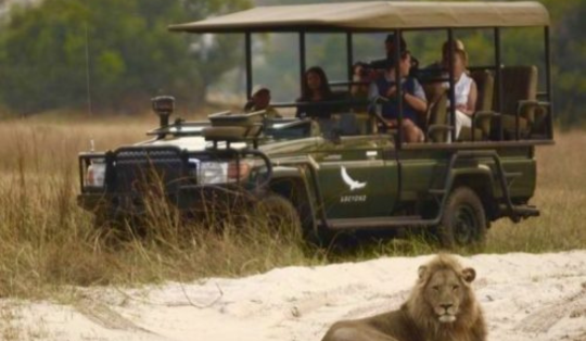 safari en la reserva de caza Moremi