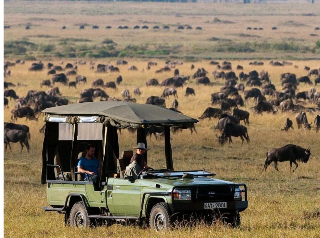 Safari en Masai Mara