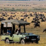 Safari en Masai Mara