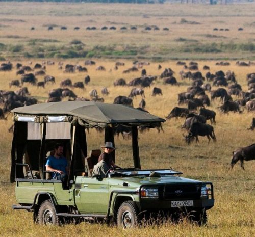 Safari en Masai Mara