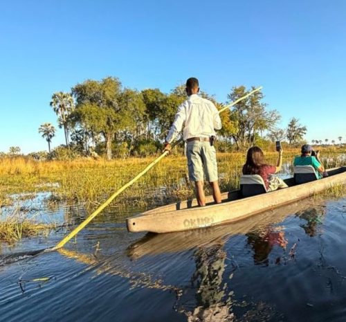 Safari en Mokoro en la Delta del Okavango