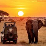 Safari al amenecer