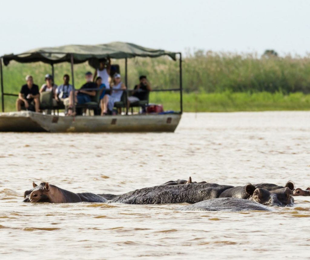 Safari de 6 días a las Cataratas Victoria y al Parque Nacional de Chobe para ver a los «Cinco Grandes»