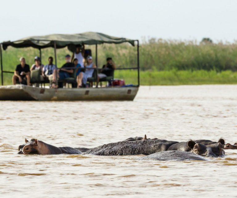 Safari de 6 días a las Cataratas Victoria y al Parque Nacional de Chobe para ver a los «Cinco Grandes»