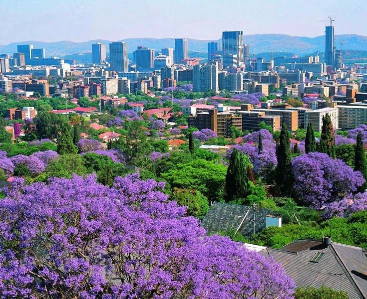 Medio dia – Recorrido por lo mejor de Pretoria