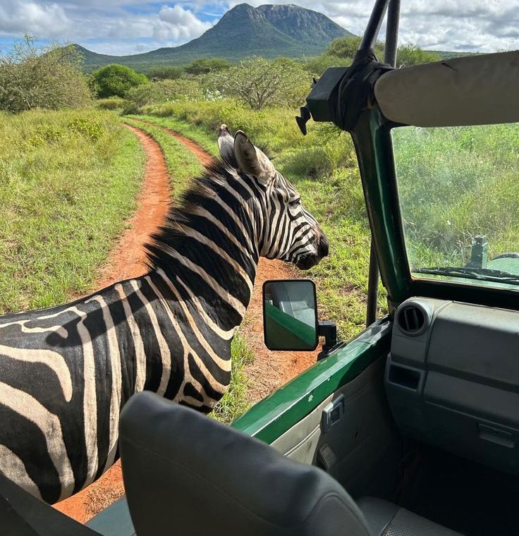 Safari Kruger Ruta Panorámica