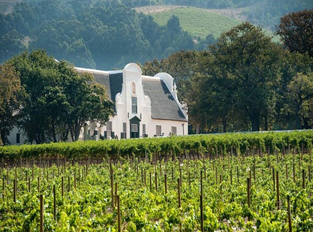 Cape Winelands tour Paarl Franschhoek