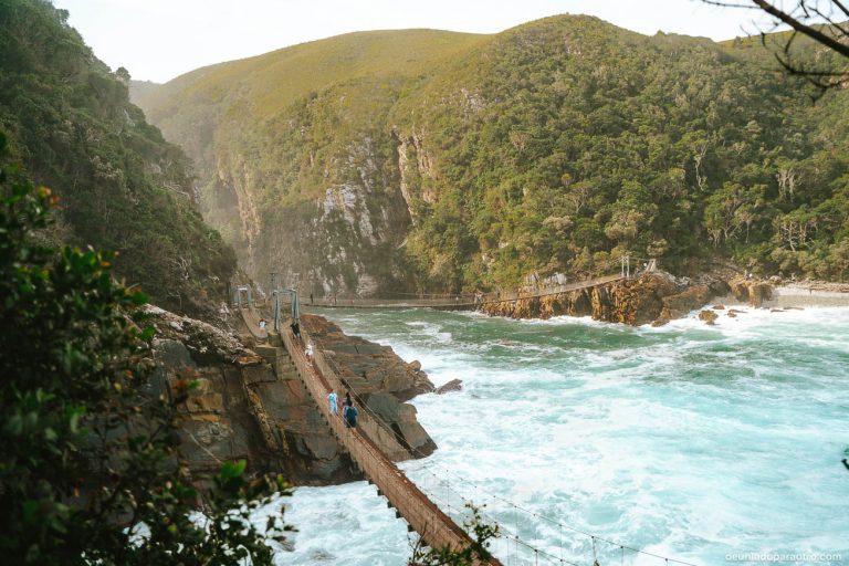 Escapada de 5 Días por la Ruta Jardín y Addo en Sudáfrica