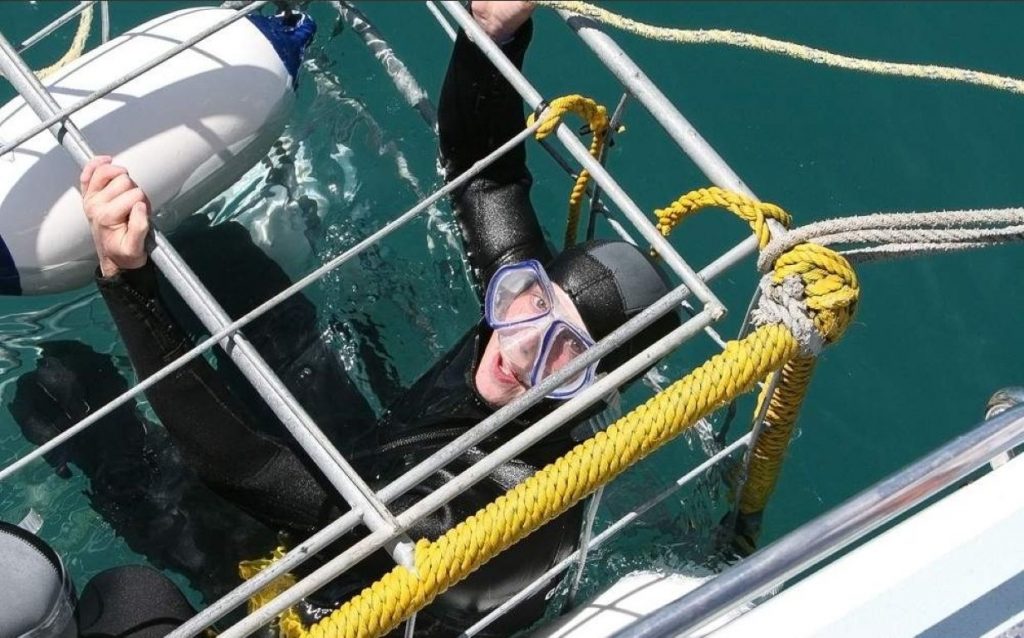 Buceo en Jaula con Tiburones en Simon’s Town – Medio Día