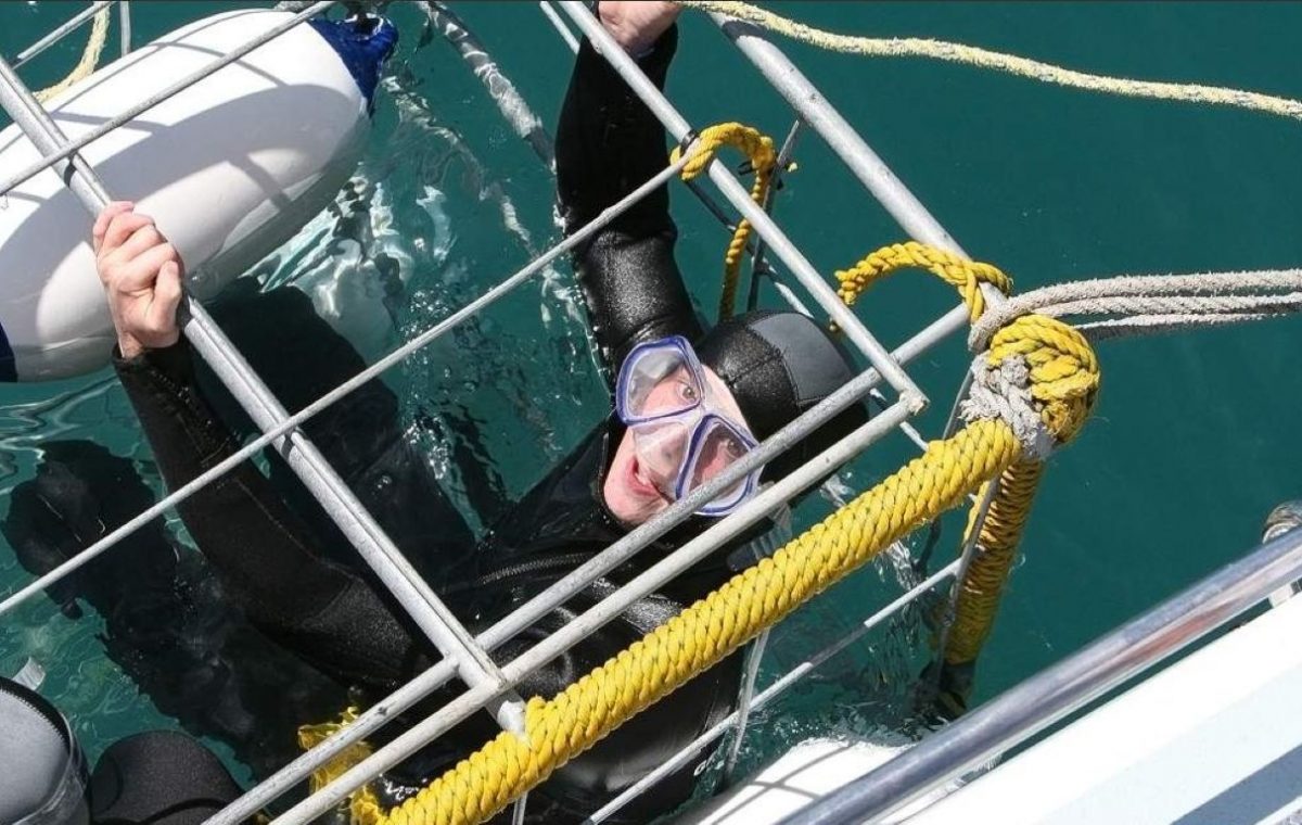 Buceo jaula tiburones Simon’s Town