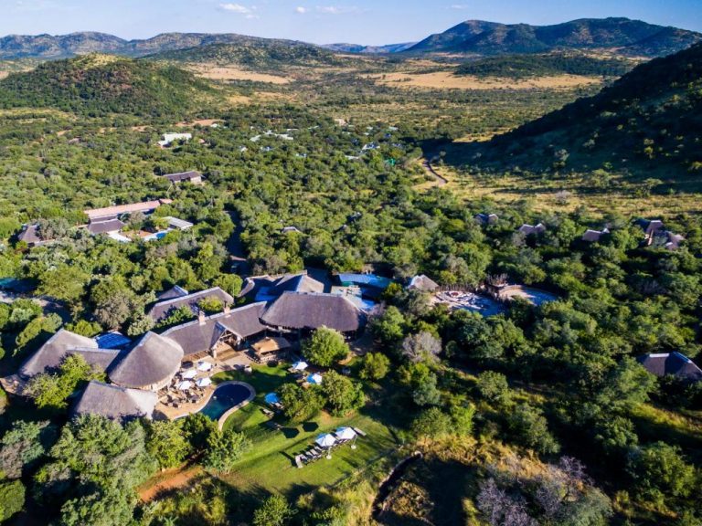 Safari de lujo en el Ivory Tree Game Lodge – 2 días