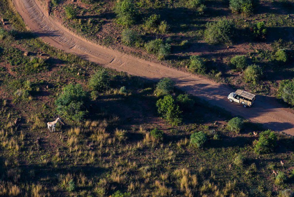 Safari de lujo en el Ivory Tree Game Lodge – 4 días
