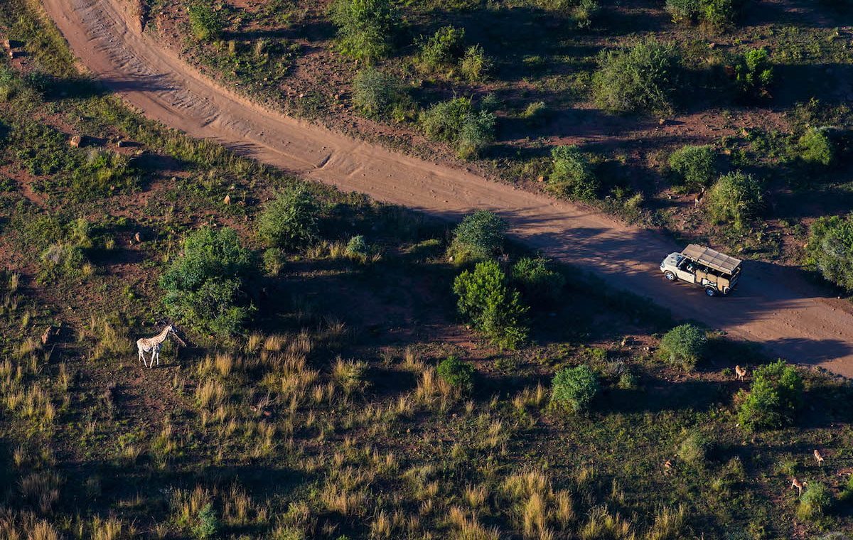 IvoryTree game lodge safari