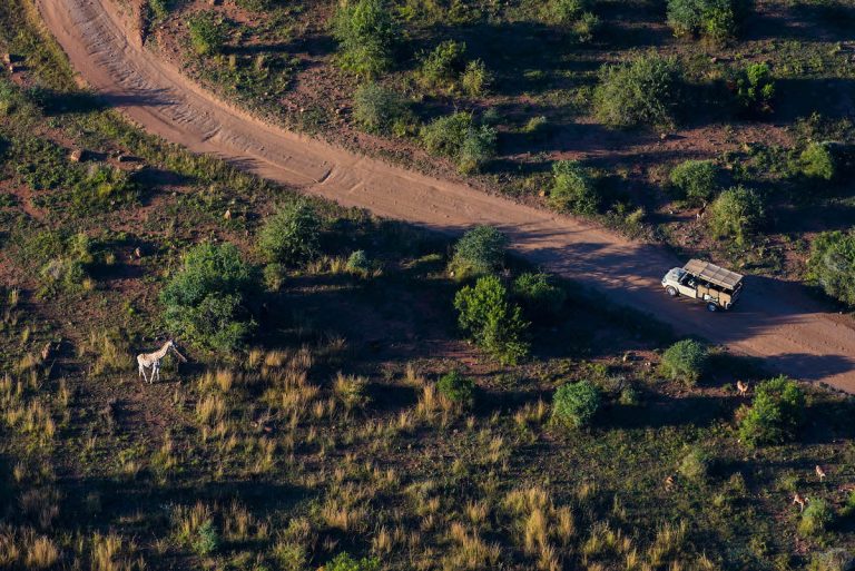 Safari de lujo en el Ivory Tree Game Lodge – 4 días