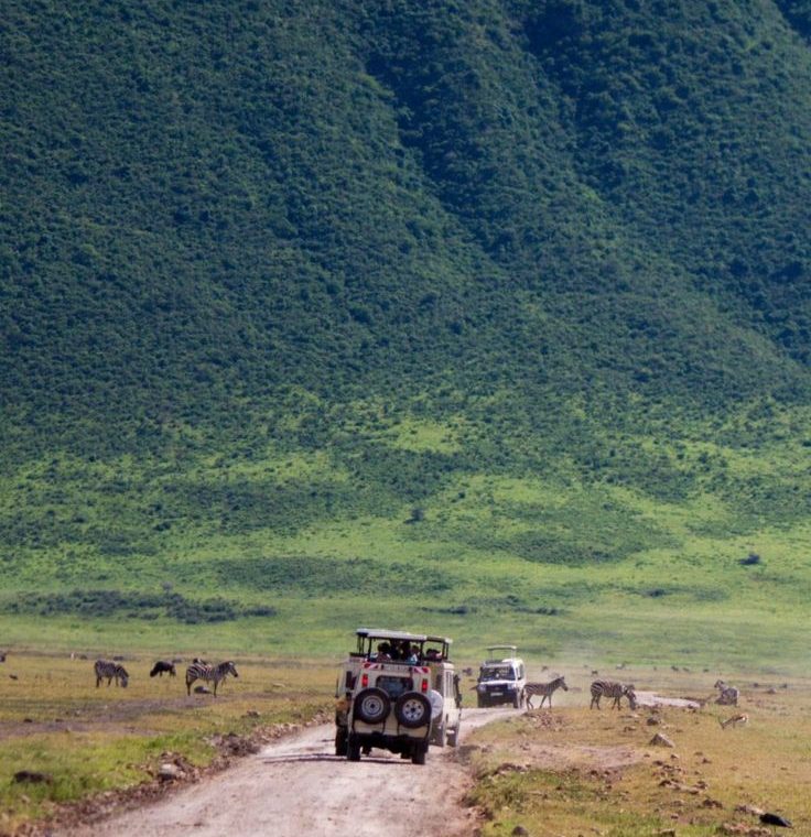 Ngorongoro Tarangire