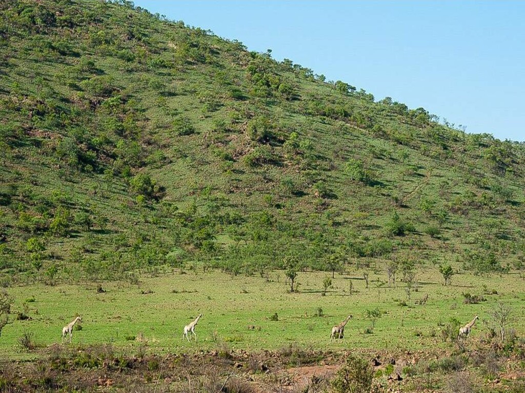 Aventura de 15 Días en el Sur de África: Fauna, Ciudades y Cultura