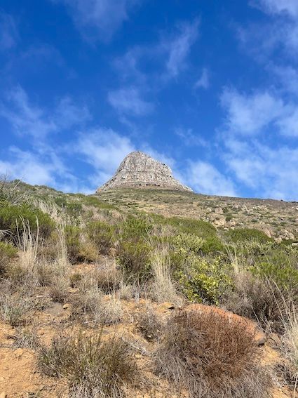Ascenso a la Cumbre de Lion’s Head – Medio Día | Amanecer, Atardecer o Tarde (±3.5 hrs)