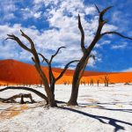 Sossusvlei Deadvlei safari desierto Namibia