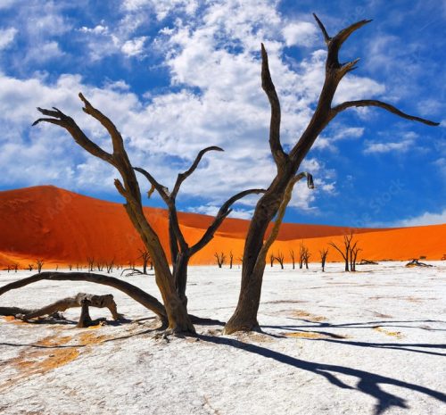 Sossusvlei Deadvlei safari desierto Namibia