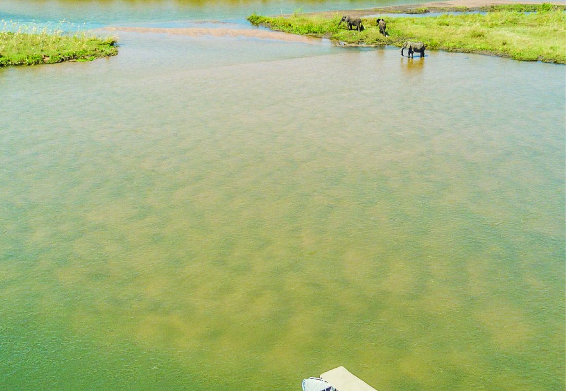 Chobe crucero río elefantes Botsuana