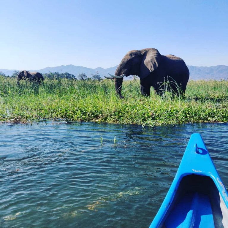 Safari Guiado en Canoa por el Alto Zambezi – Medio Día