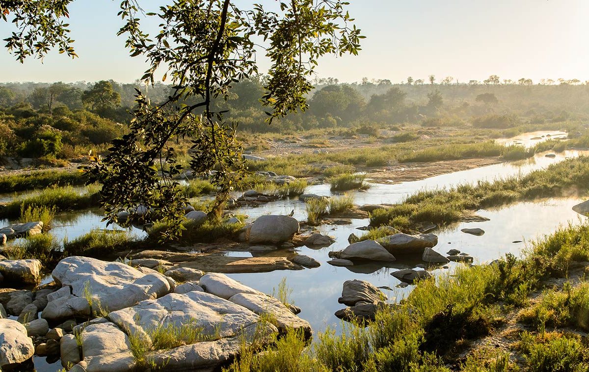 Safari Sabi Sands Big Five