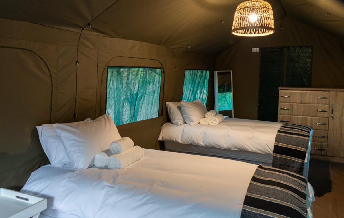 Kruger 5 días glamping