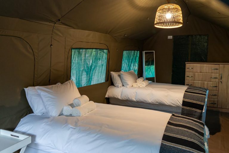 Safari económico de 5 días para ver animales salvajes – Glamping en el Parque Nacional Kruger