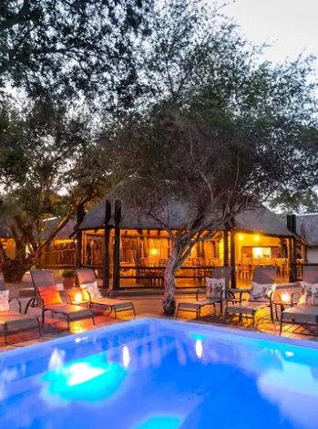 Safari en Sabi Sands en el Umkumbe Safari Lodge – 4 días