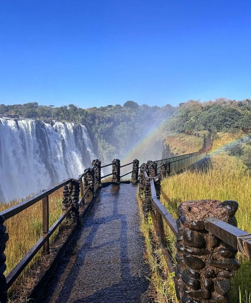 Safari de 1 dia en Chobe desde las Cataratas Victoria