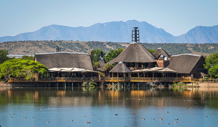 Safaris en Botlierskop o Buffelsdrift