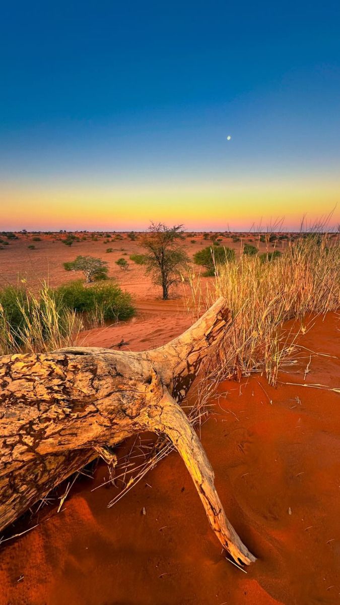 Desierto del Kalahari, paisajes infinitos