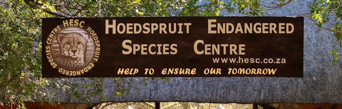 Visita al Hoedspruit Endangered Species Centre
