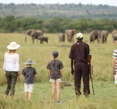 Mejor safari para familias con niños en África