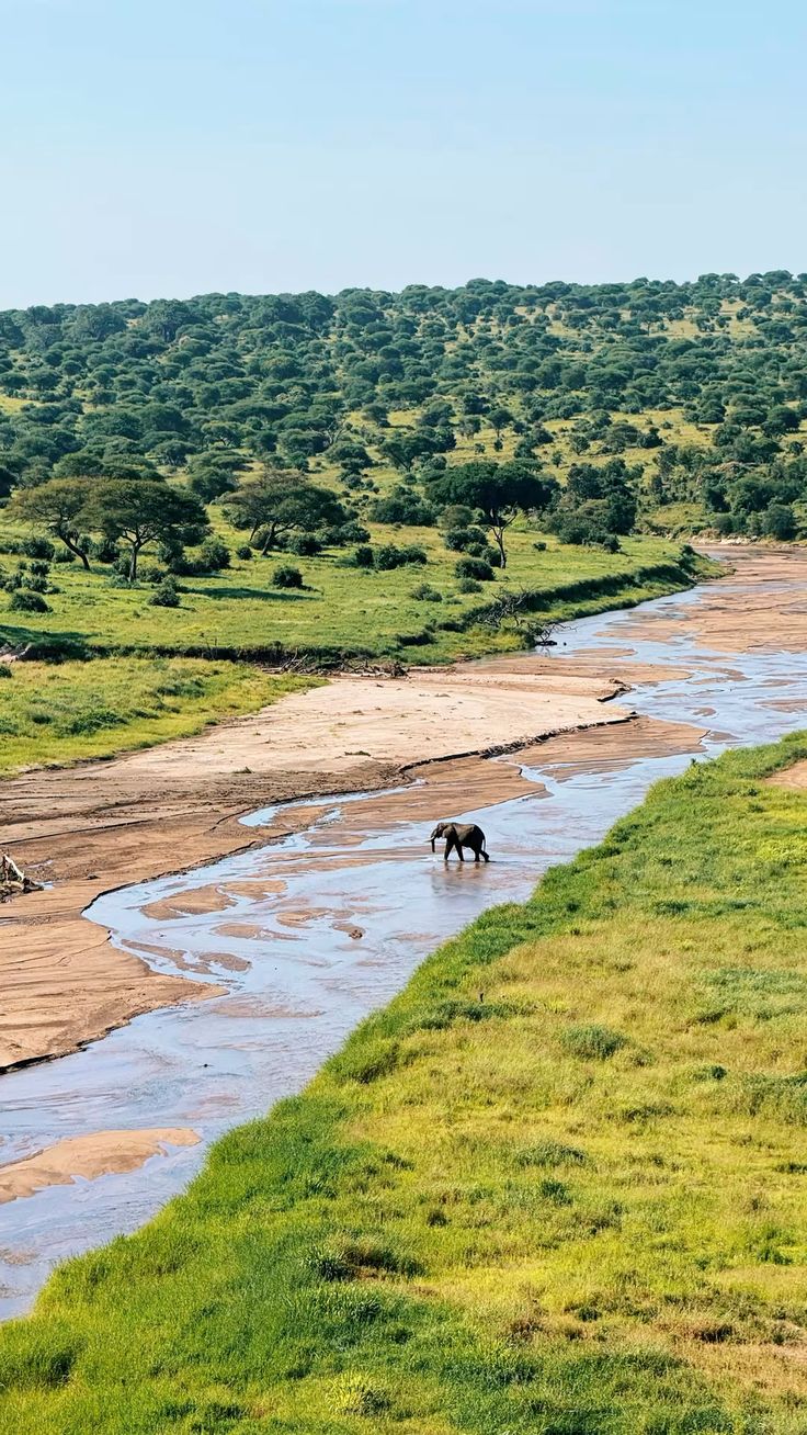 Parque Nacional Tarangire, tierra de elefantes