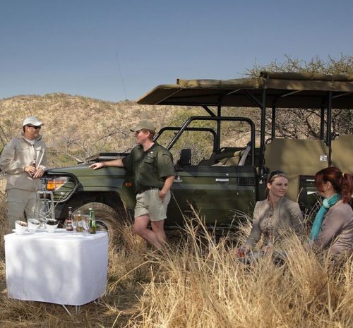 Safari familiar sin malaria en Sudáfrica observando elefantes