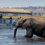 Safari en Barco en Chobe