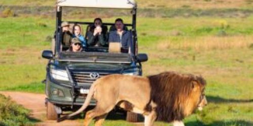 Garden Route Game Lodge