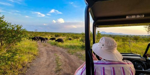 Mjejane Game Reserve