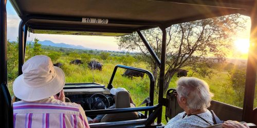 Mjejane Game Reserve